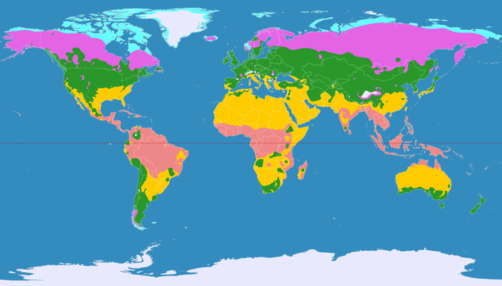 Weltkarte der Klimazonen, dargestellt im Patterson-Zylinderentwurf.