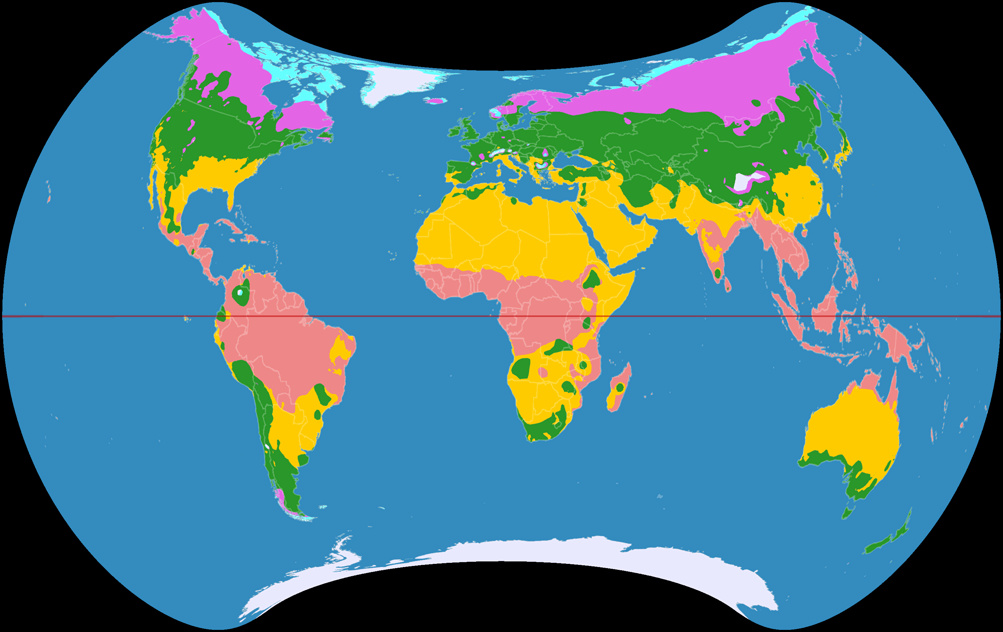 Weltkarte der Klimazonen, dargestellt im Strebe 1995 Netzentwurf
