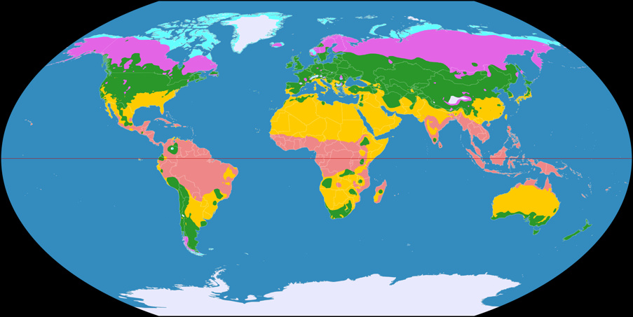 Weltkarte der Klimazonen, dargestellt im Wagner VI Netzentwurf